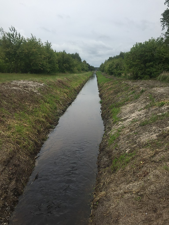 1,nXaKrKmimmiWrsCYZZk