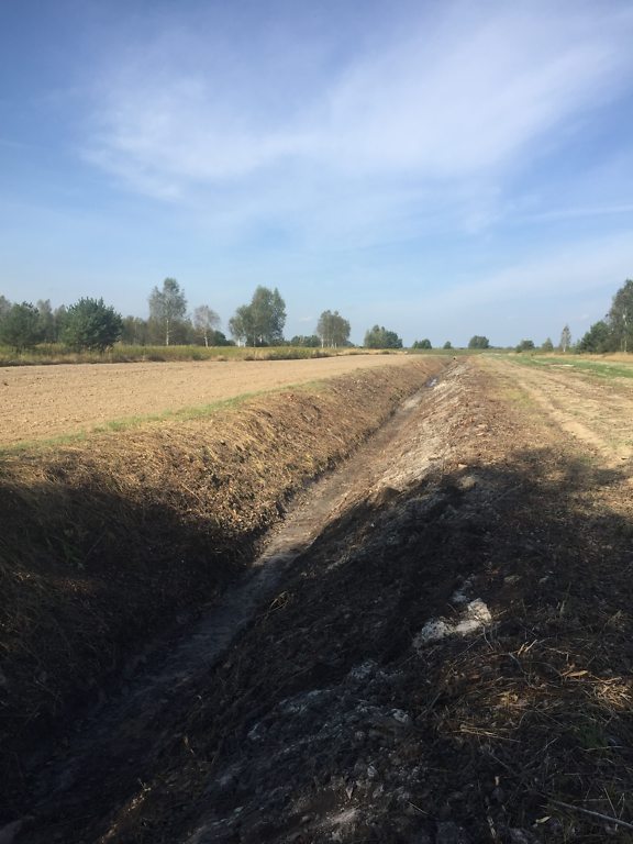 5,nXaKrKmimmiWrsCYZZk