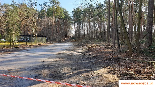 l1eUwmOfZlOY5YVUlA,20210324_082908