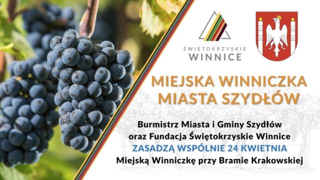 210424_winnica