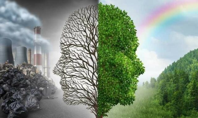 tarnobrzeg_bez_smogu,lH99nrGbpmmEqb2FZaA