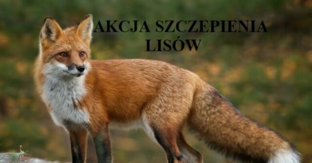 2018-07-25_153253115610-1-780x410-c-default