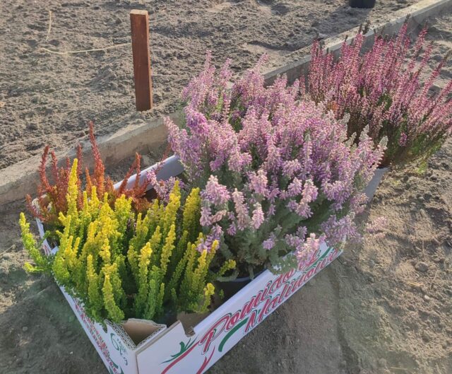 253755756_676469733282687_1571314020103855886_n-1-e1637758741255