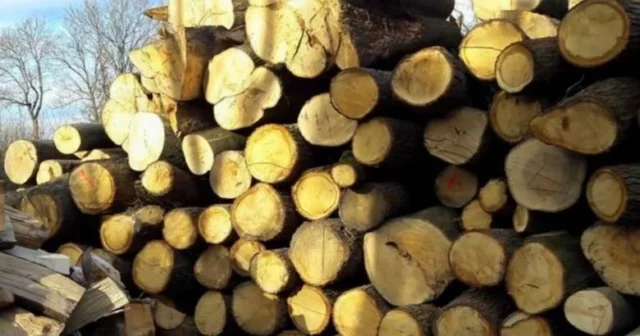 drewno_5dcd2d684720c-780x410-c-default