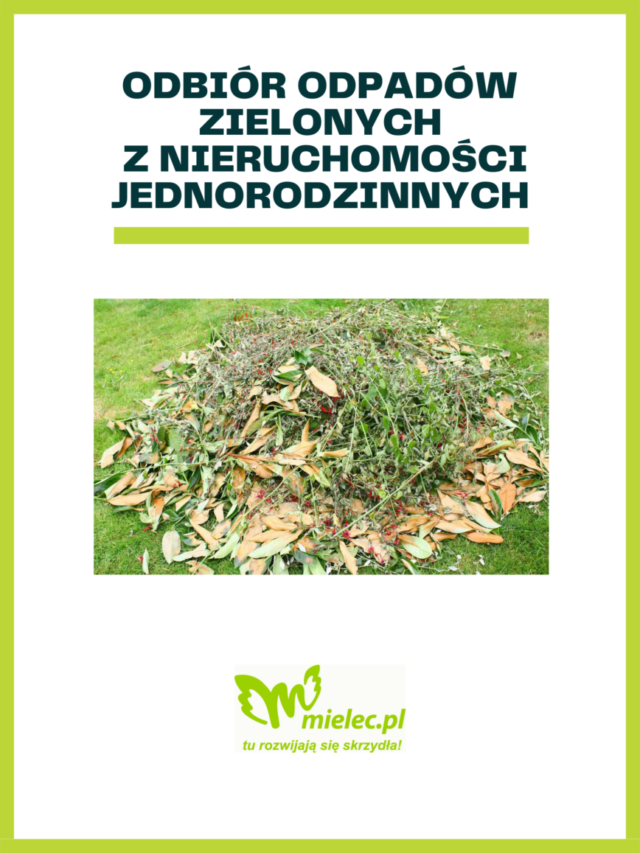 Green-Utilitarian-Waste-Disposal-Steps-Recycling-Poster-1-868x1157