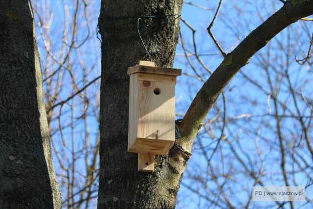 IMG_6526-0-1601x1067 (1)