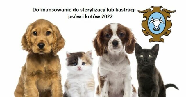 64c363a1d3c3569ed91887f1bb1bdfcf-2-780x410-c-default-780x410-c-default