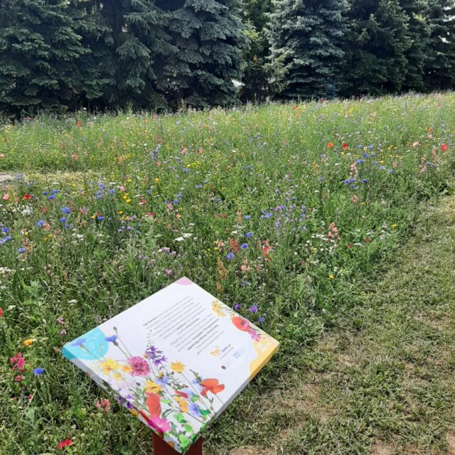 20220614_113957-002-868x868